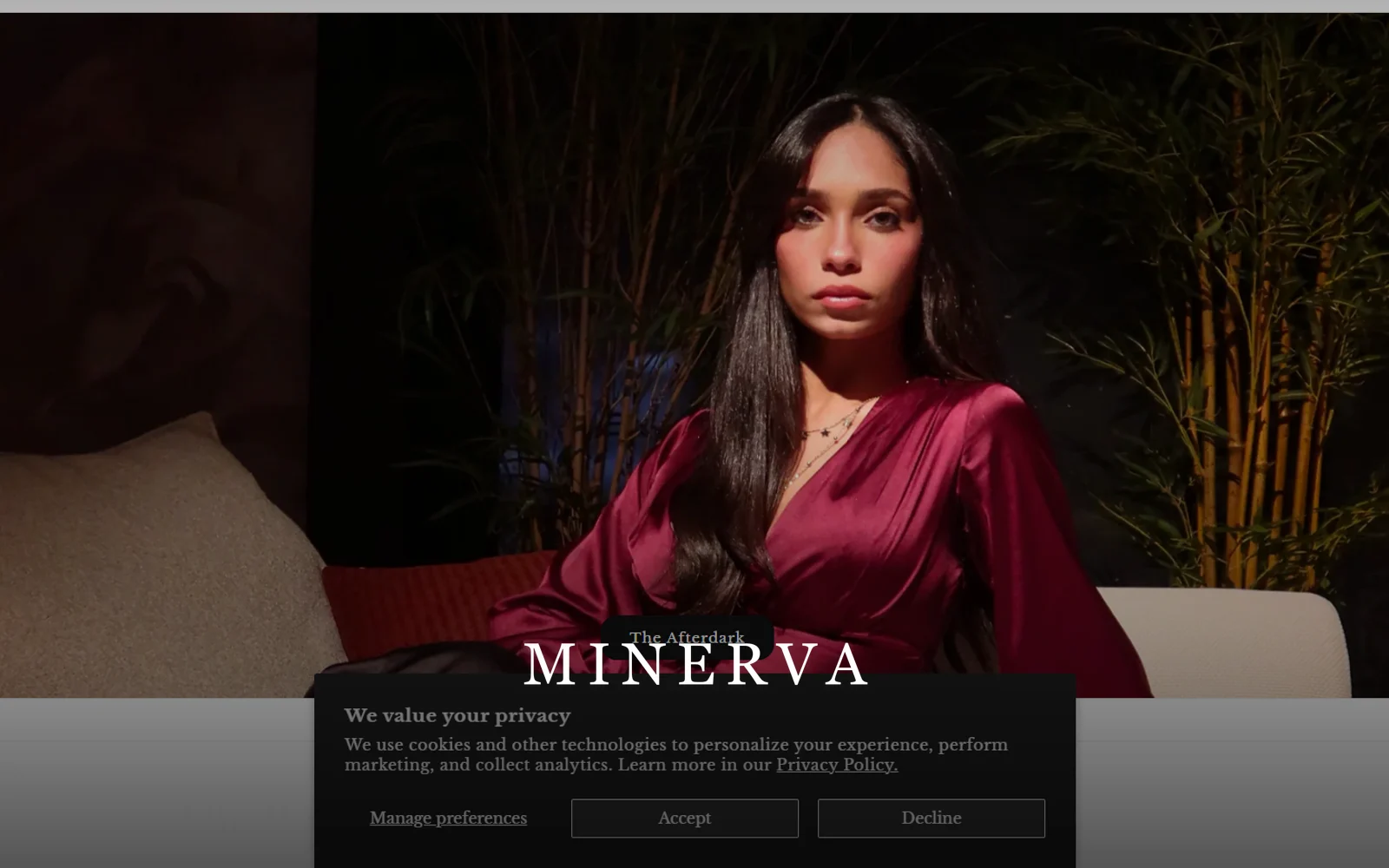 Minerva cover